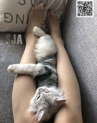 日韩精品欧美无码_1080P完整视频观看