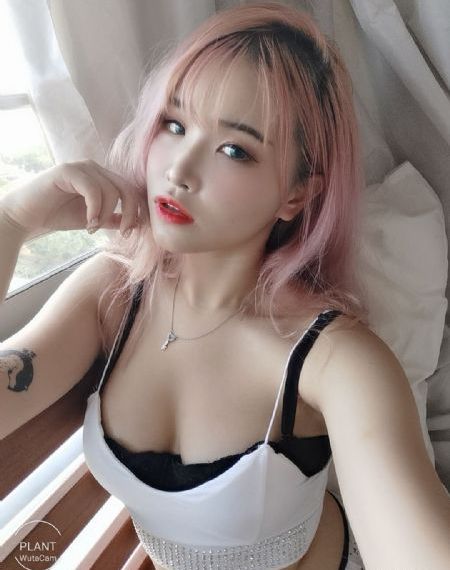 不用会员免费伪装应用的软件_720免费全集观看